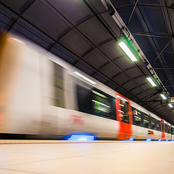 gotować wegańsko w 2022?